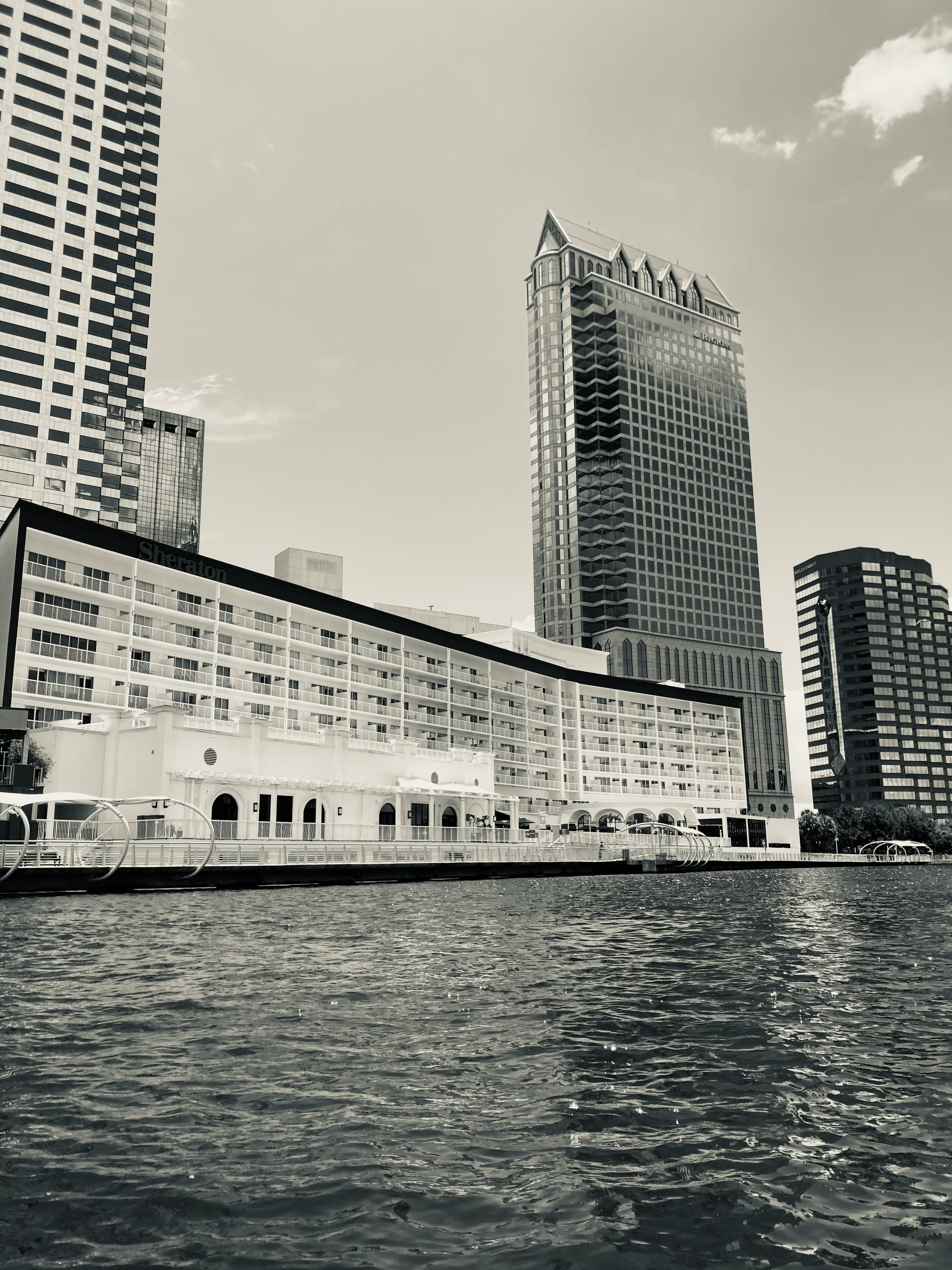 Tampa residential real estate development